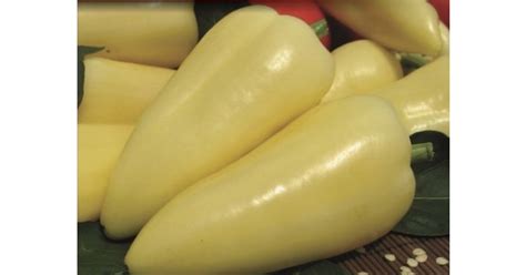 Betakarított Fehérözön paprika