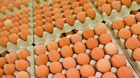 illusztráció a tojás tápanyagtartalmáról