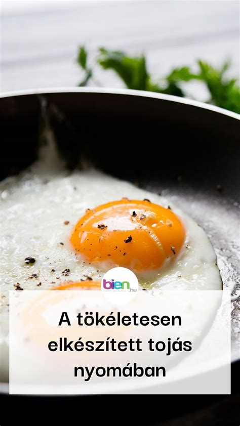 fotó egy tökéletesen elkészített sajtos omlettről