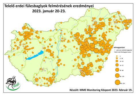 feketédio-erdő-térkép