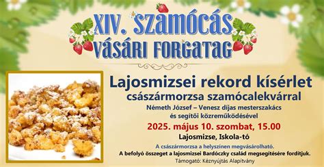 Márton-napi vásári forgatag