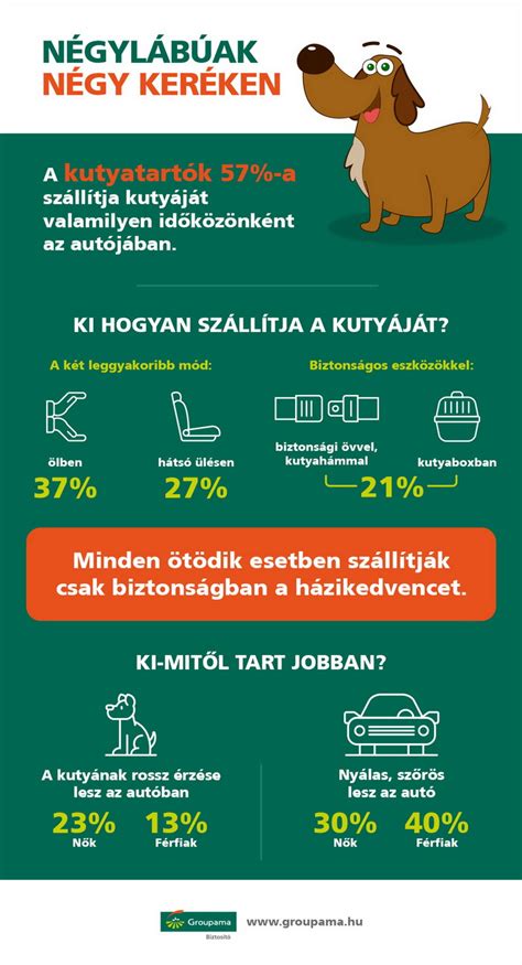biztonságos hústárolás infografika