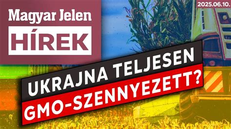 Friss csirkehús szakszerű darabolása konyhai deszkán