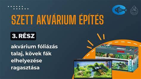biotóp akvárium elrendezése lazacok számára