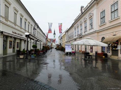 Virágzó utca Baja városában