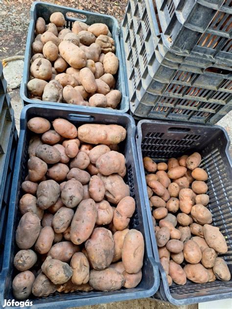 Különböző formákra vágott burgonya