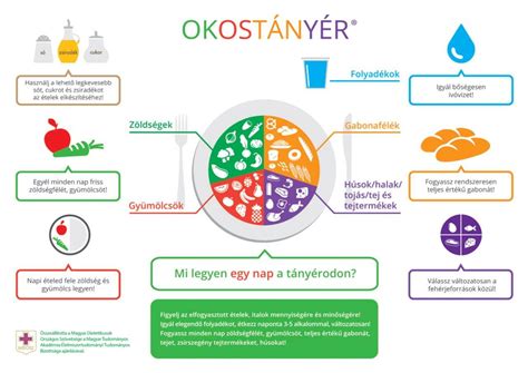 Tányéron lévő ételek kalóriaértékeinek vizuális összehasonlítása