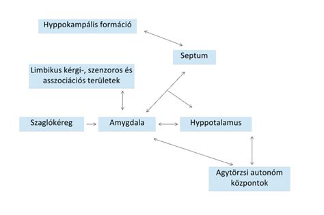 A magyar igazságszolgáltatási rendszer sematikus ábrája