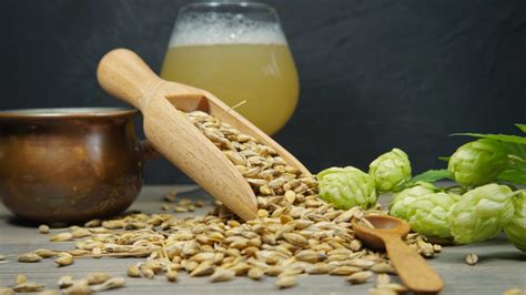 A sörfőzés alapanyagai és a maláta