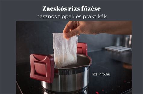 A rizs növekedésének fázisai és a rizs termesztési régiói