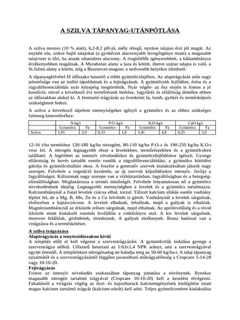 Saláta tápanyag tartalom infografika