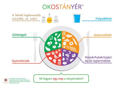 OKOSTÁNYÉR® diagram