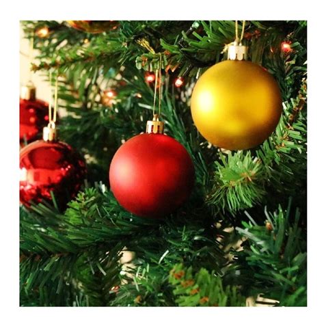 Kefirko fermentor különböző méretekben és színekben