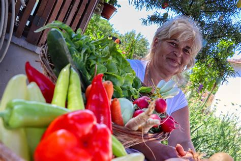Vidám emberek, akik friss zöldségeket és gyümölcsöket szednek egy kiskertben