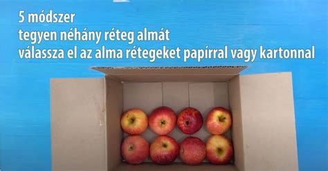 Kánna rizómák téli tárolása