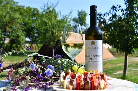 Uruguayi borok és Tannat szőlő