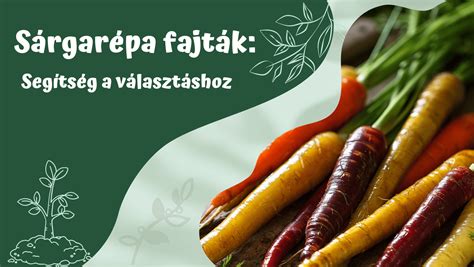 sárgarépa reszelése folyamatban
