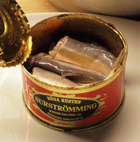 Surströmming hagyományos körettel