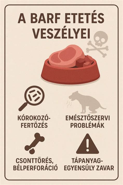 friss, nyers húsból és zöldségekből összeállított BARF adag egy macskatálban