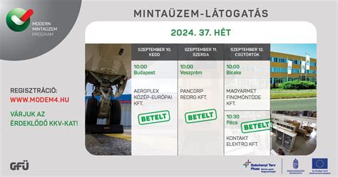 modern tojásszelektáló berendezés működés közben
