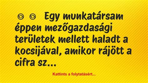Vicces fordítási hibák egy menüben