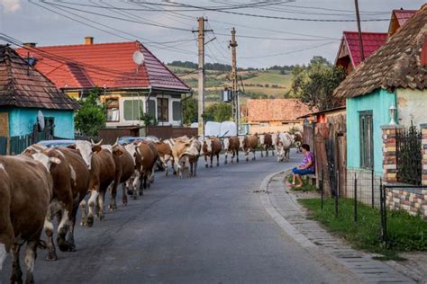 Székelydálya térképe