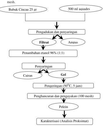 Pektin típusok diagram