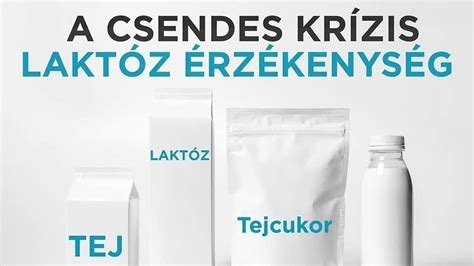 Laktóz emésztését ábrázoló infografika