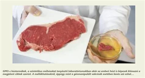 laboratóriumi hús
