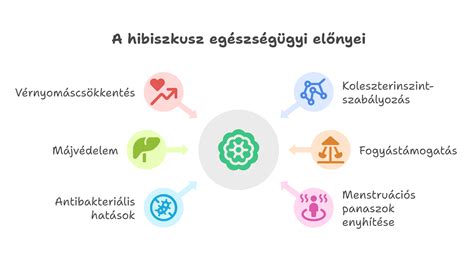 A karalábé egészségügyi előnyeit bemutató infografika