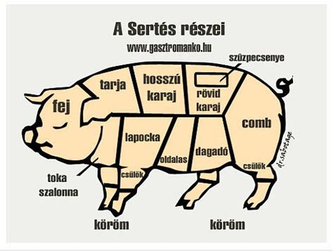 sertés részek kocsonyához