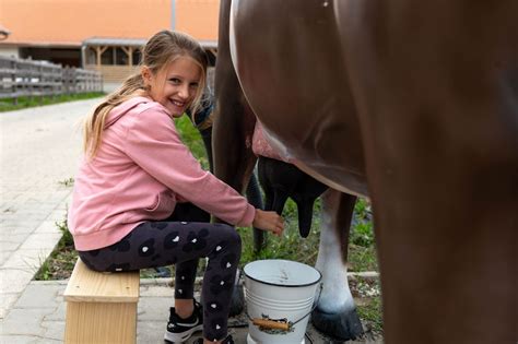 Boldog állatok a Breier Farm legelőin