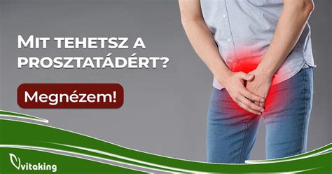 illusztráció a prosztatáról és a húgyhólyagról