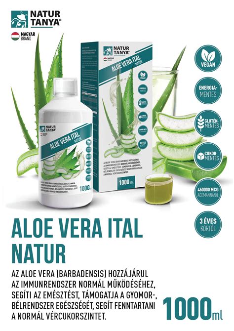 Egy pohár Aloe Vera ital