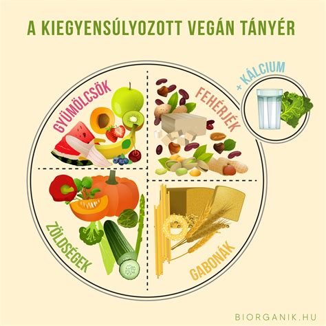 Egészséges tányér diagramm húsokkal és zöldségekkel