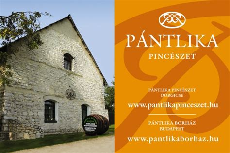 A Pántlika Pincészet épülete Dörgicsén a szőlőültetvények ölelésében
