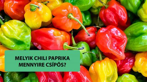 különböző chili paprika fajták