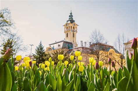 Debreceni városkép éttermi kínálattal