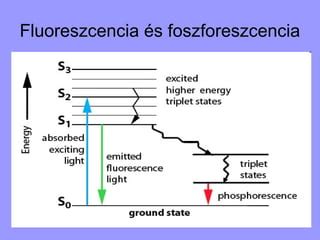A fluoreszcencia és foszforeszcencia közötti különbséget szemléltető grafikon