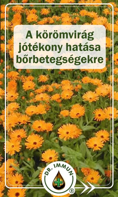 A tőzeg jótékony hatása a talajra