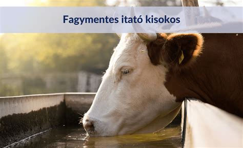 Fagymentes itatórendszer elemei