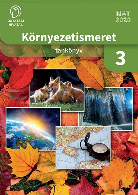 Harmadik osztályos diákok környezetismeret órán