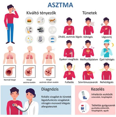 Dióallergia tünetei infografika