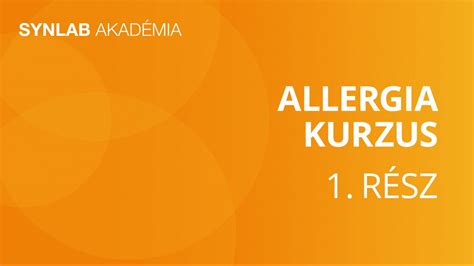 Allergia kivizsgálás folyamata