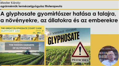 Génmódosított növények termőföldön