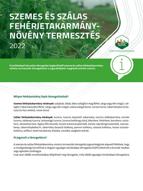 dió termesztés és piaci értékesítés folyamata
