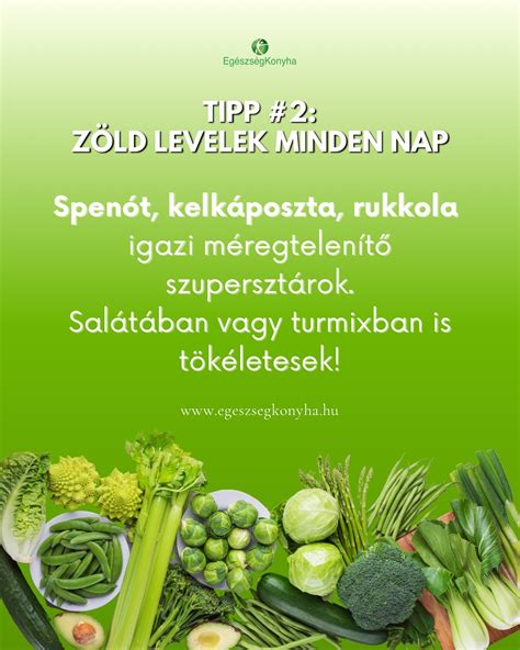 Spenót levelek és tápanyagok infografika