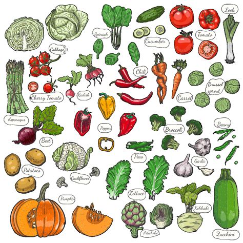 Zöldségek mirepoix készítéséhez