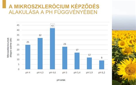 Különböző pH értékű talajok diagramja
