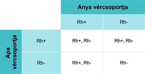 Genetikai öröklődés táblázat